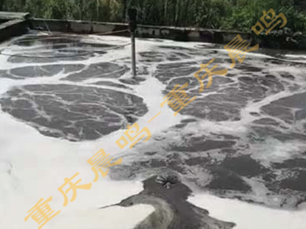 四川某养殖企业
